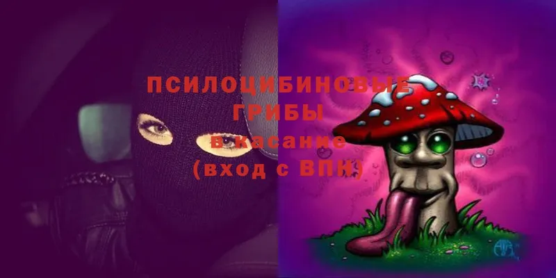 Галлюциногенные грибы Psilocybine cubensis  KRAKEN онион  Эртиль 